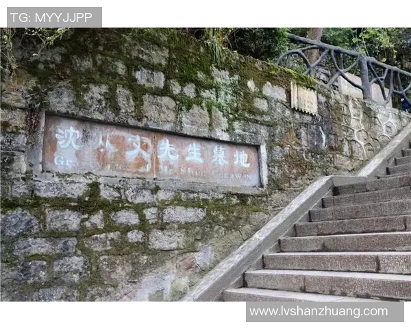 姚明南方之旅：篮球巨星的故乡情与文化探索