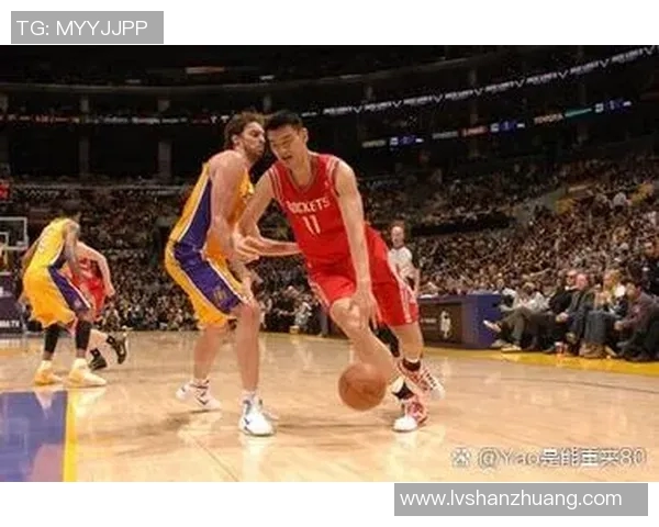 在篮球场上与姚明亲密接触的难忘瞬间与感悟