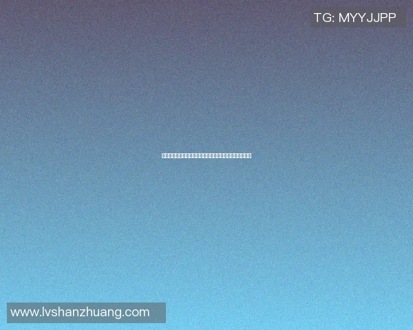 戏曲与篮球的完美结合探索明星名单及精彩瞬间的视觉盛宴