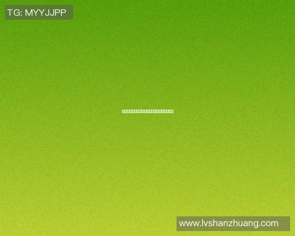 秃顶篮球明星的传奇人生与赛场背后的奋斗故事 秃顶篮球明星的传奇人生与赛场背后的奋斗故事