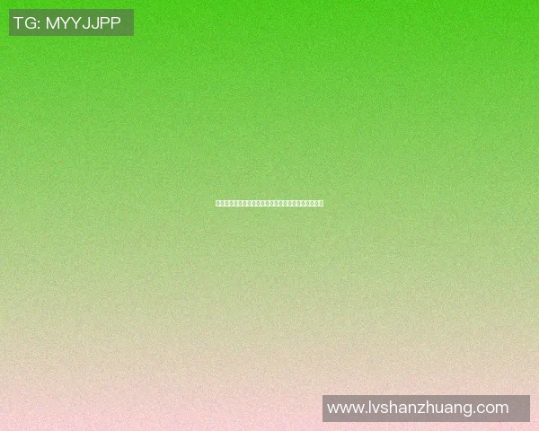 篮球明星与音乐的完美结合展现神同步魅力的精彩瞬间