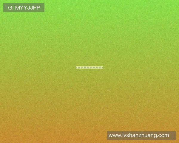 篮球明星慕斯的传奇之路与成长故事揭秘